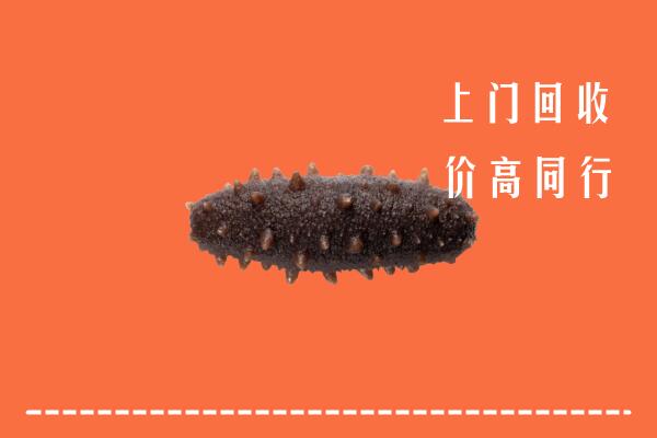 高价求购：聊城冠县回收海参
