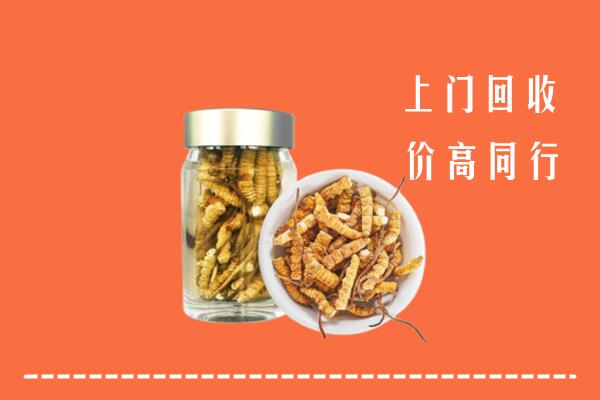 聊城冠县高价回收冬虫夏草
