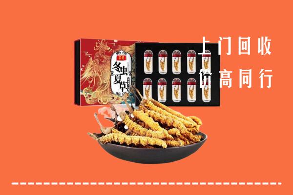 收购行情：聊城冠县回收虫草